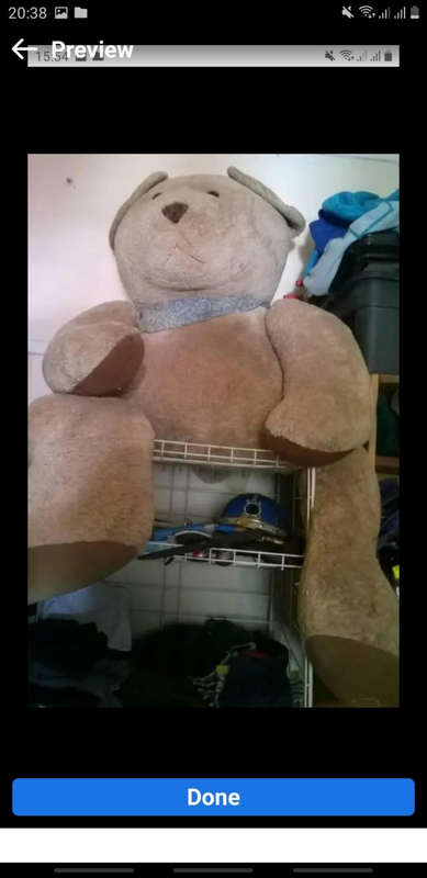 Teddy bear