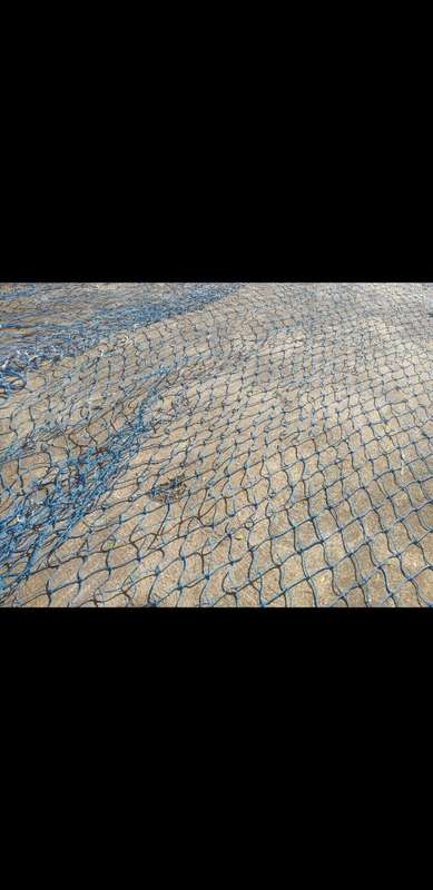 large pool net 5m by 6m