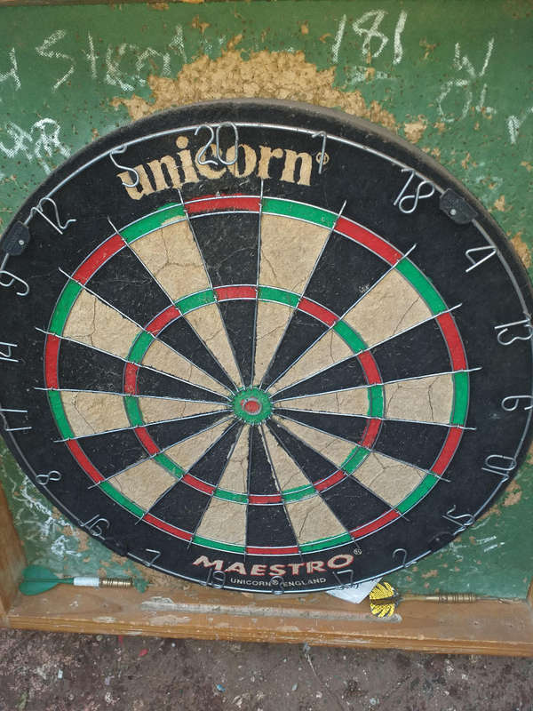 Large dart board