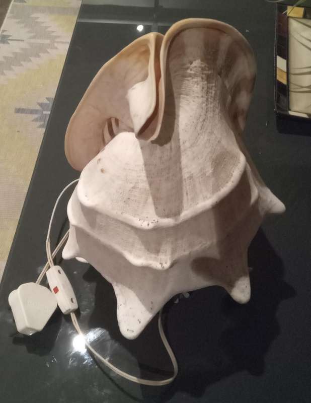 Vintage Seashell Lamp RARE
