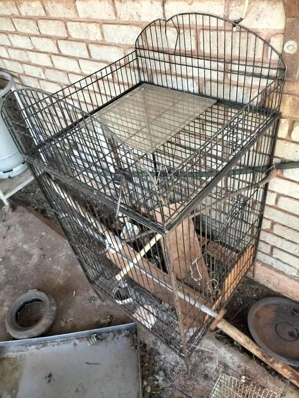 Parrot cage