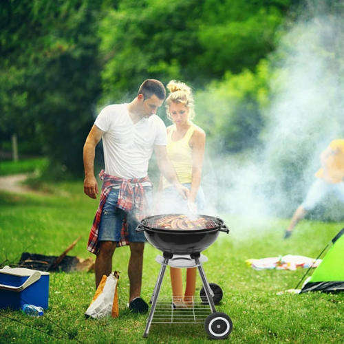 Portable Charcoal Grill - Your Braai Buddy for Every Adventure!