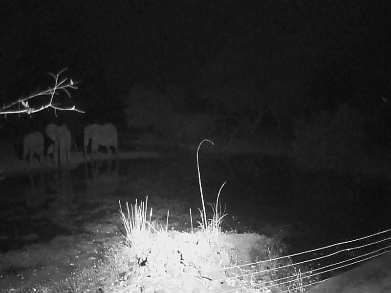 GIT 16MP Wildlife Trail Camera  IP66 Waterproof, Night Vision, Motion Detection, 1080p HD Recording