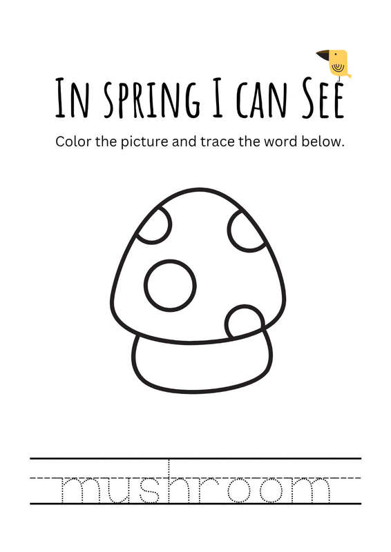 Spring time colouring book