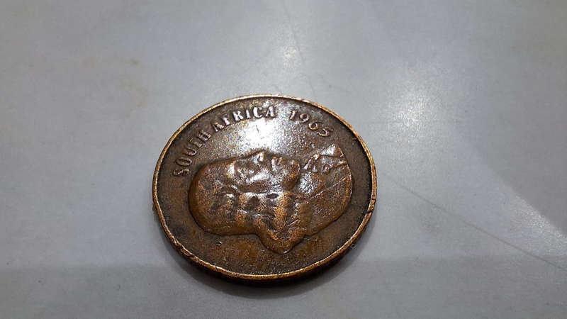 SA Coins