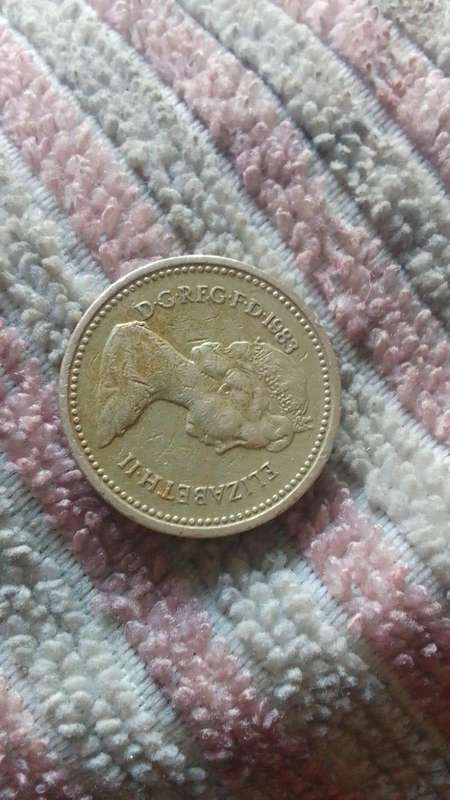 Elizabeth ii D-Greg-F-D-1983 One Pound, Decus et tutamen