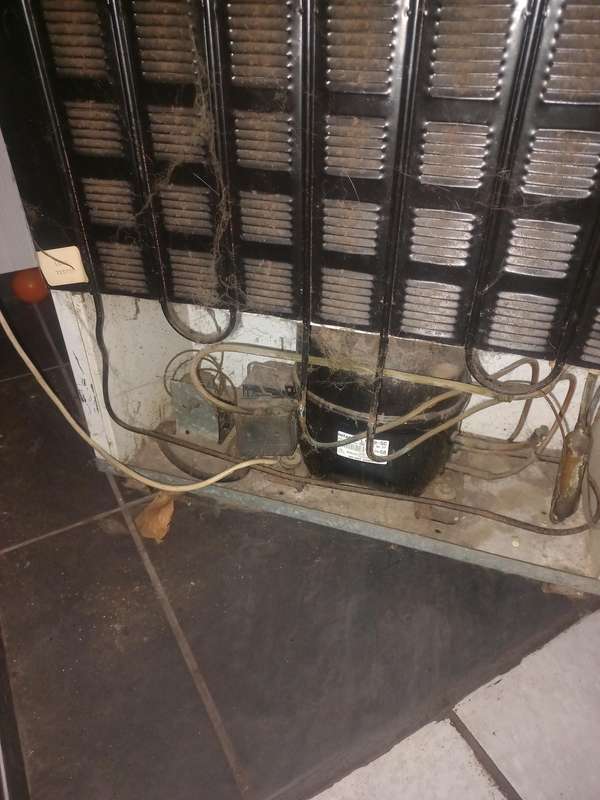 upright double door freezer, 330L, in great working condition. to be collected