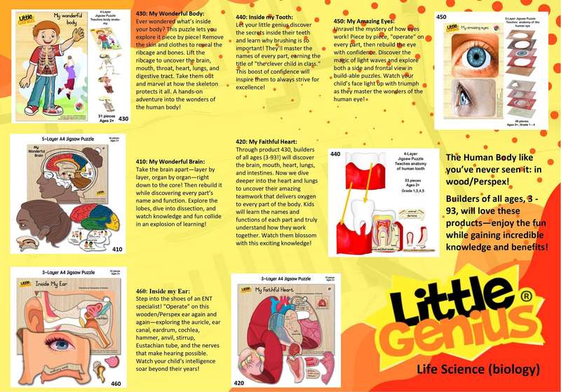 Little Genius My Wonderful Brain puzzle