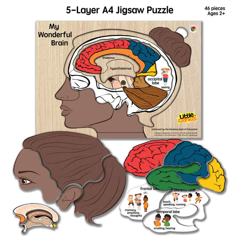 Little Genius My Wonderful Brain puzzle