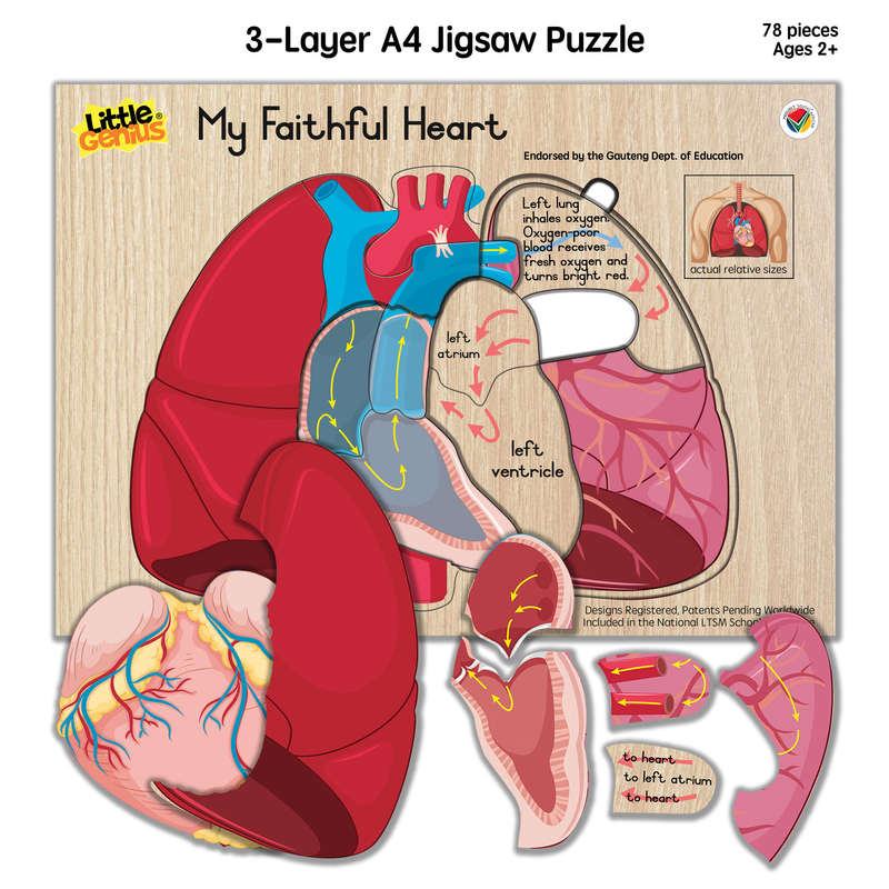Little Genius My Faithful Heart puzzle