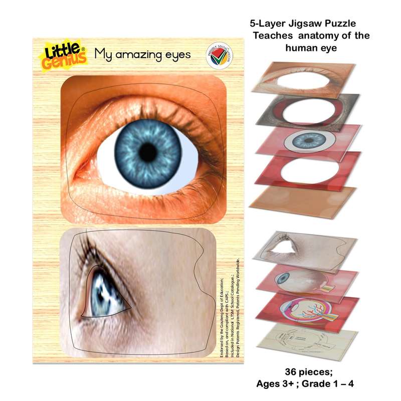 Little Genius My Amazing Eyes puzzle