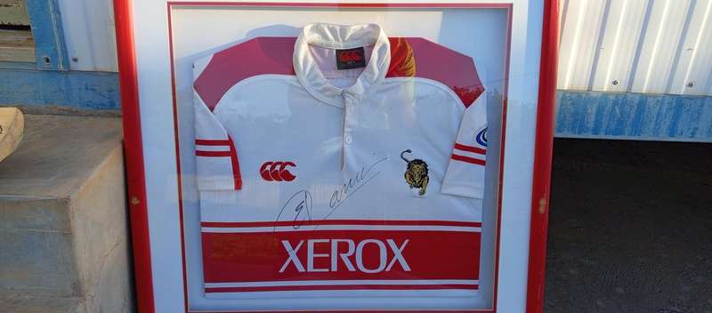 Lions curry cup jersey