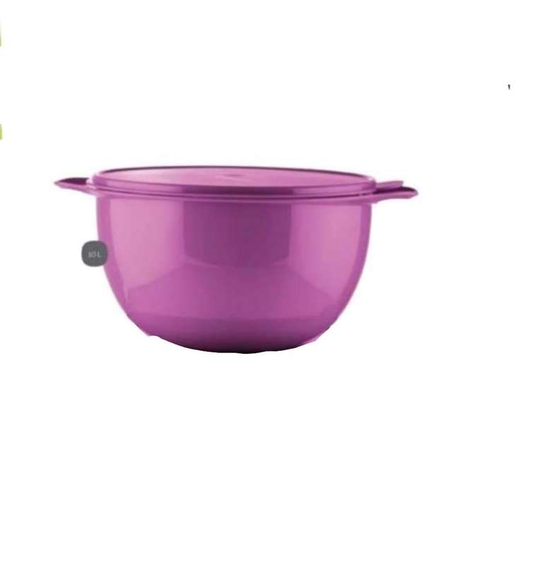 Tupperware 10l that's a bowl