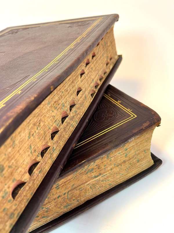 Antique 1899 Standard Dictionary of the English Language  Volumes 1 & 2 (Subscription Edition) | Fu