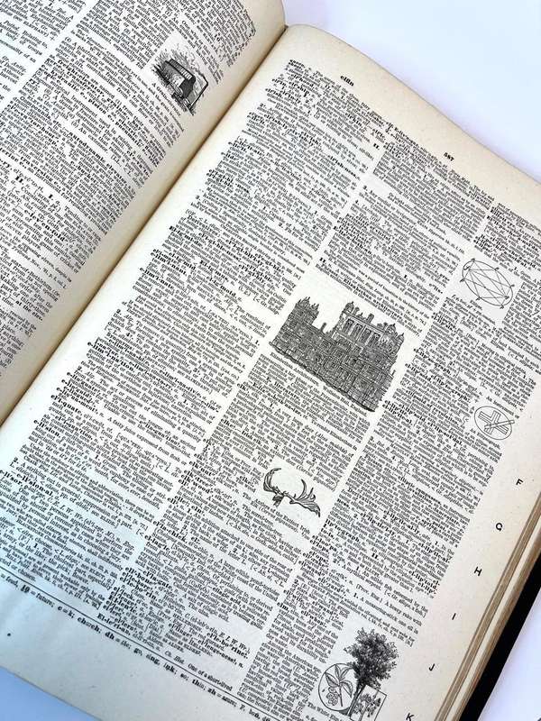 Antique 1899 Standard Dictionary of the English Language  Volumes 1 & 2 (Subscription Edition) | Fu
