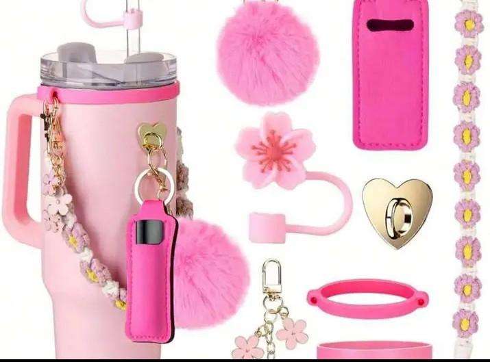 Stanley cup accessories