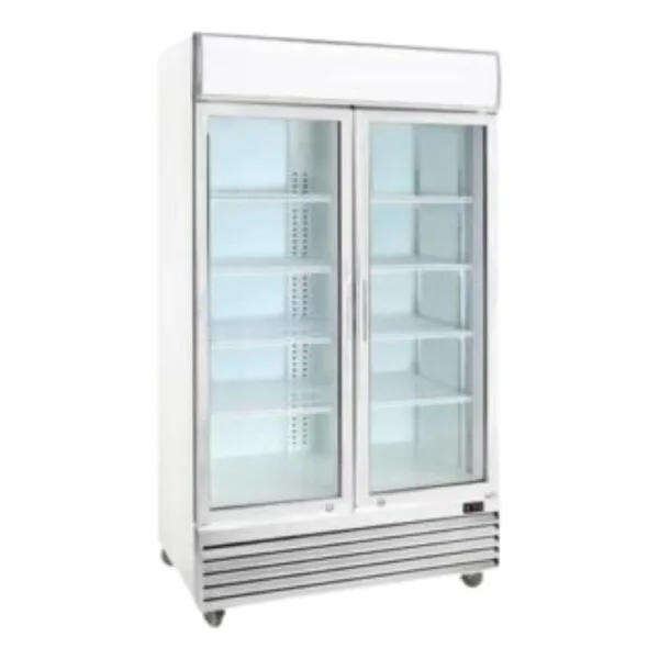 Double Swing Door Cooler