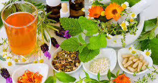 From Garden to Medicine Cabinet - The essential guide