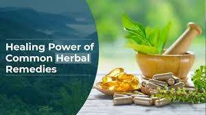 From Garden to Medicine Cabinet - The essential guide