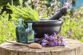 From Garden to Medicine Cabinet - The essential guide