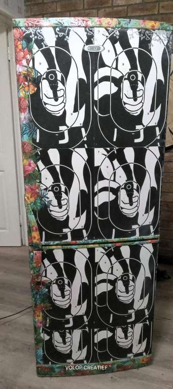 Custom Design DEFY Fridge/Freezer