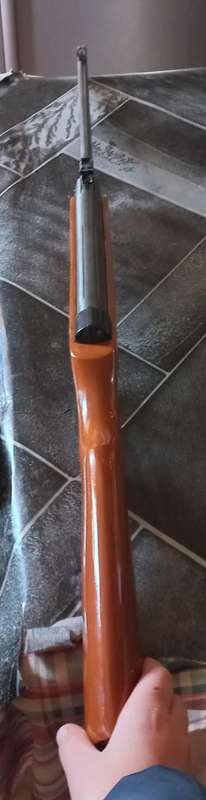 Vintage D'Marco air rifle