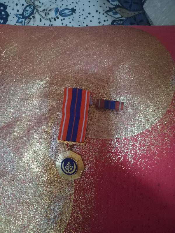 Medals of South Africa