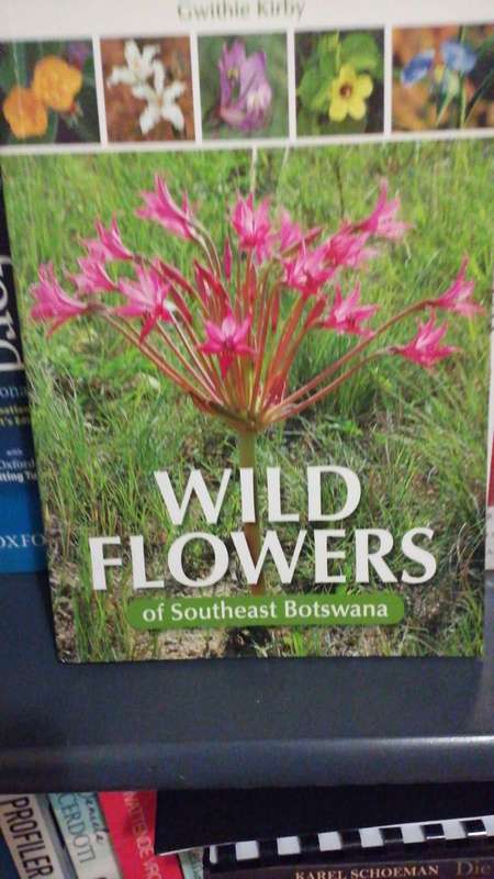 Wild Flowers of Southeast Botswana