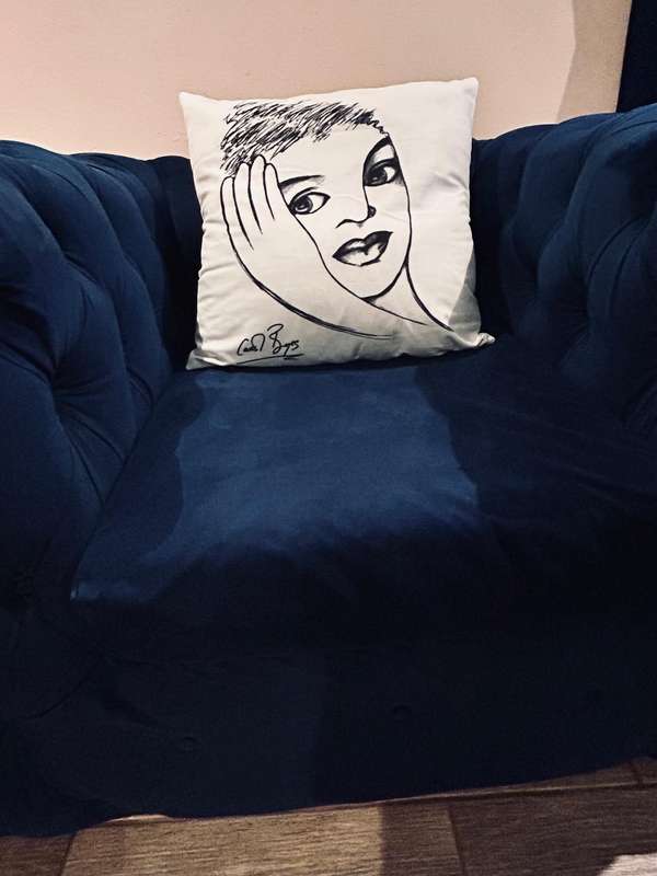 Carrol boyes cushion covers.