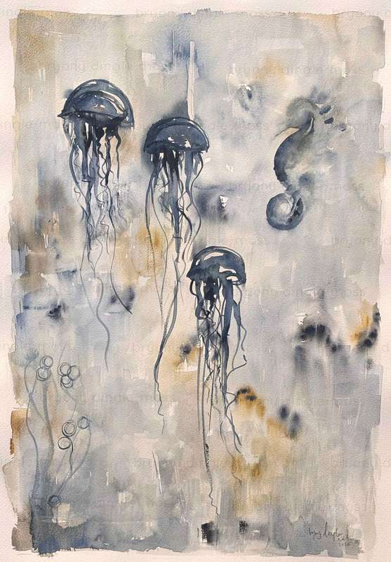 3 Jellies