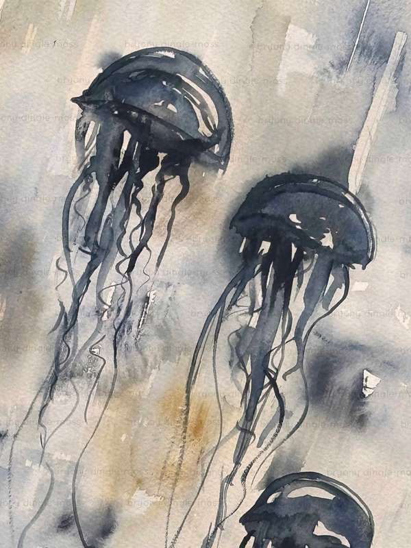 3 Jellies