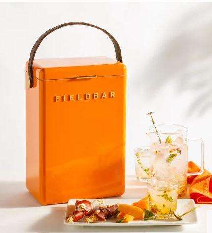FIELDBAR: Drinks Cooler Box, 10L Orchard Orange colour