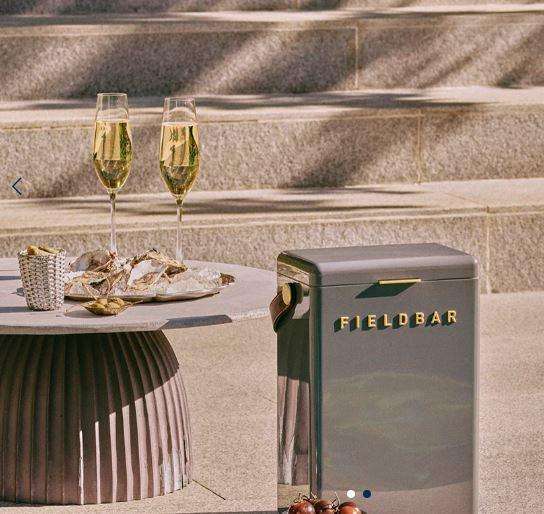 FIELDBAR: Drinks Cooler Box, 10L Oyster Grey Colour