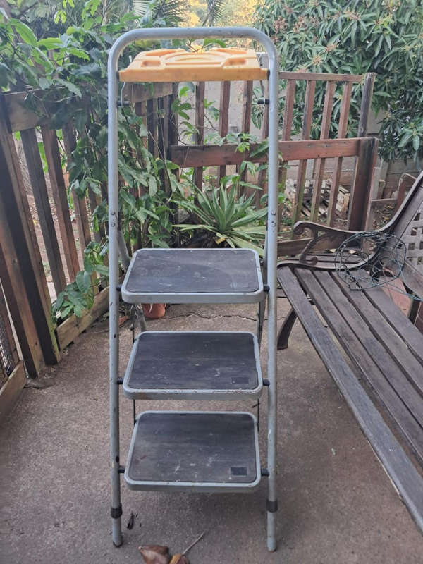 Painters ladder