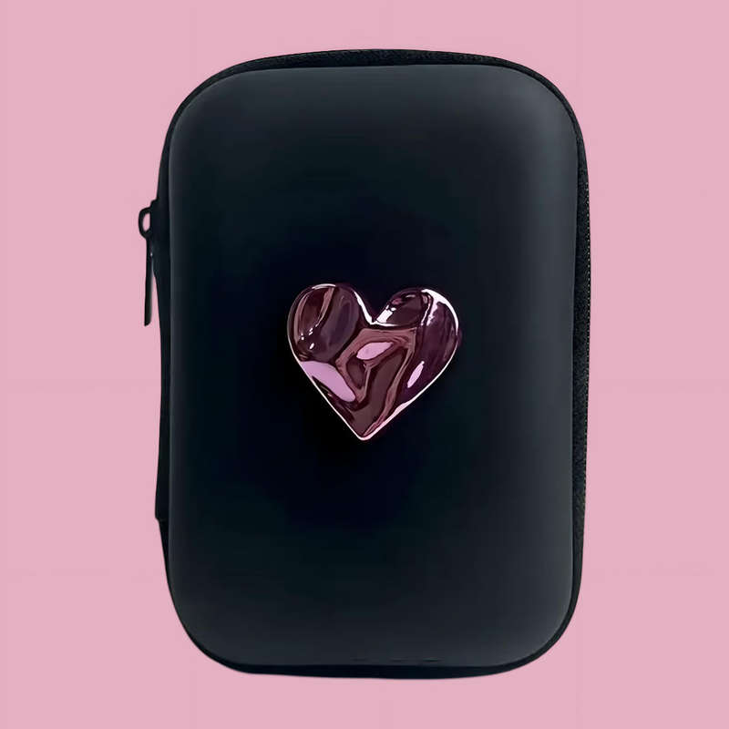 Earphone / Charger Protective Travel Case