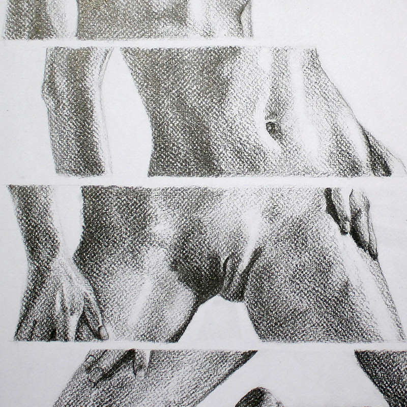 every-BODY No 1 | Original Figure Drawing | A2 Size Pencil Artwork by Celeste von Solms