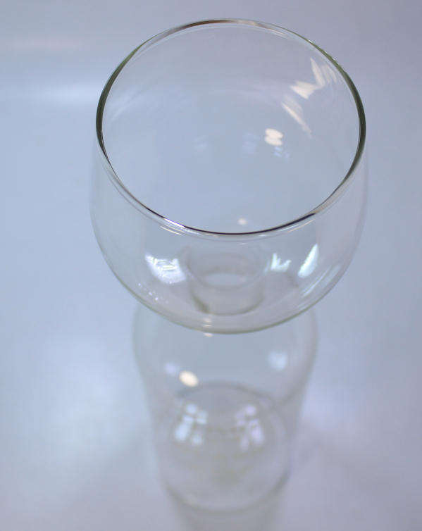 One Glass of Wine A Day Glass Bottle in Original Box