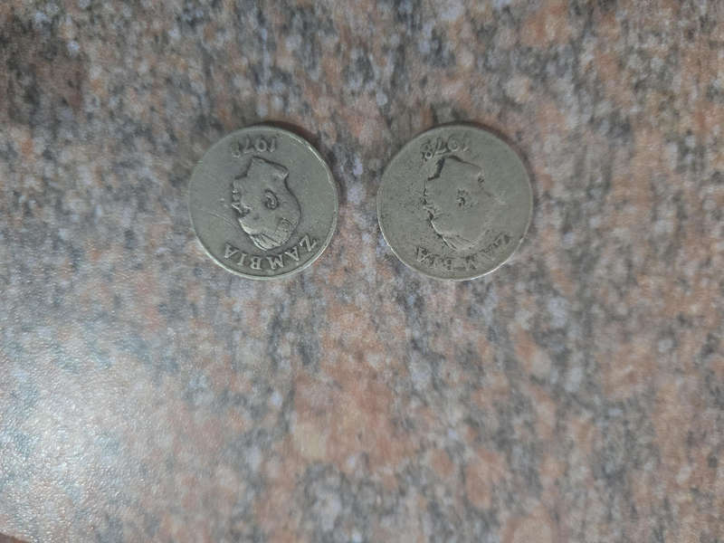 Zambia coin