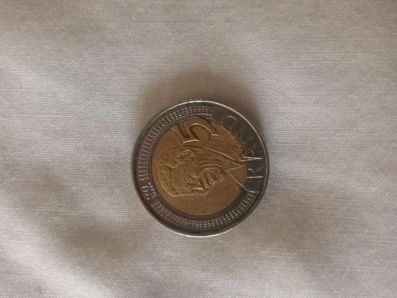 R5 mandela coin 2008