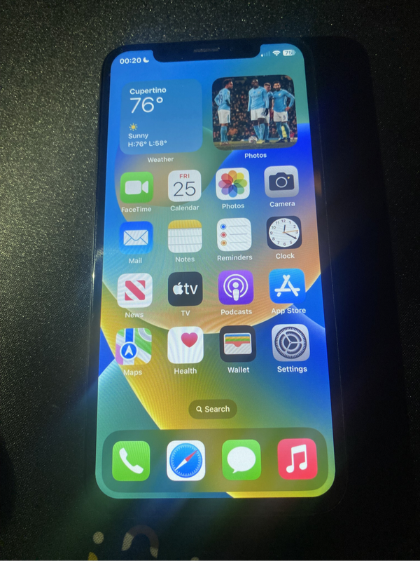 iPhone X