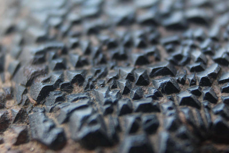 Ancient Fossil