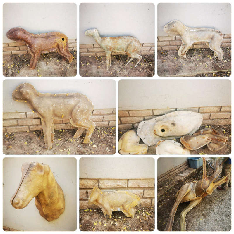 Taxidermy