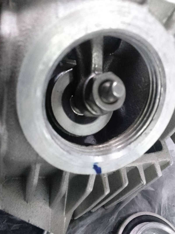 Go kart head ( completed Head)