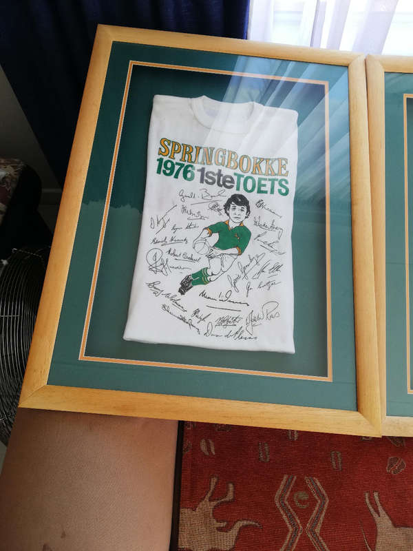 Springbok t shirts
