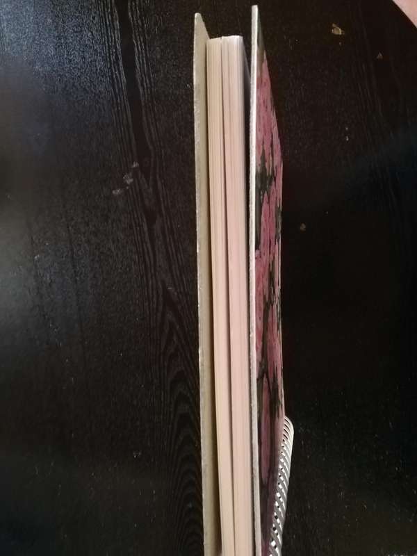 Bible Journal Crafting Book 50 Pages