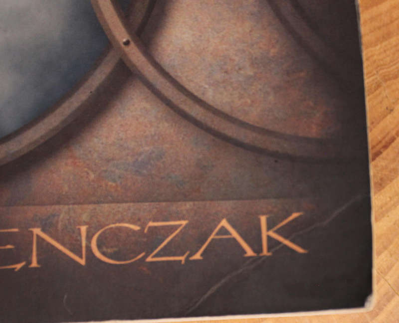 Sons of the goddess - Christopher Penczak