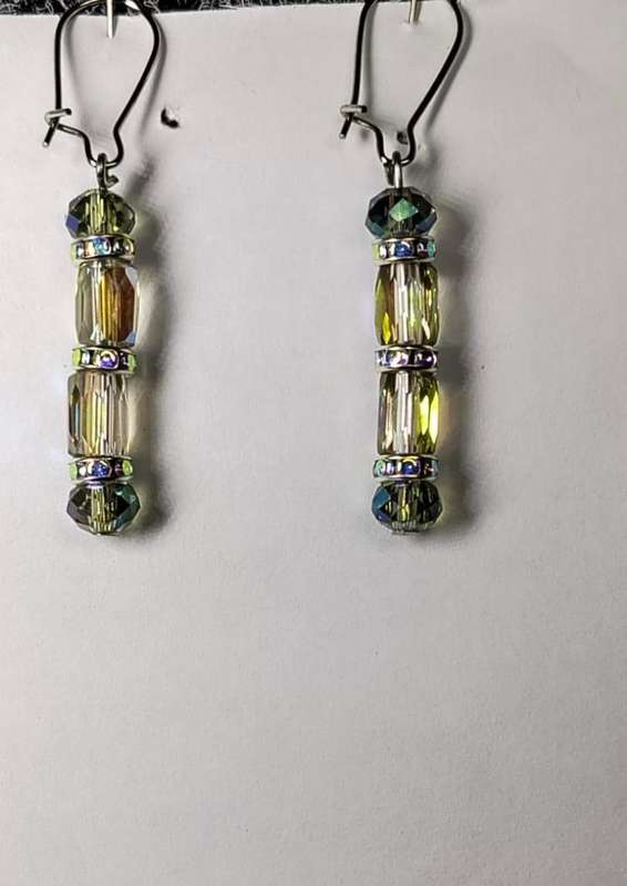 WL elegant earrings