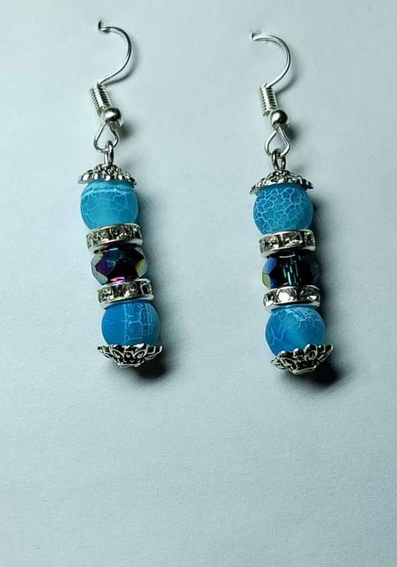 WL elegant earrings