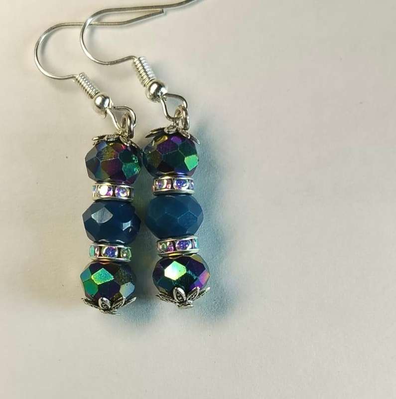 WL elegant earrings