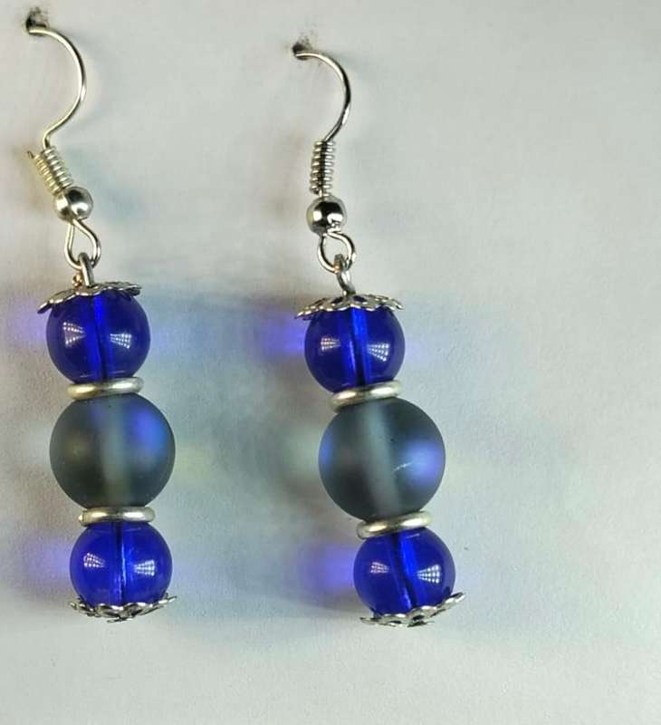 WL elegant earrings